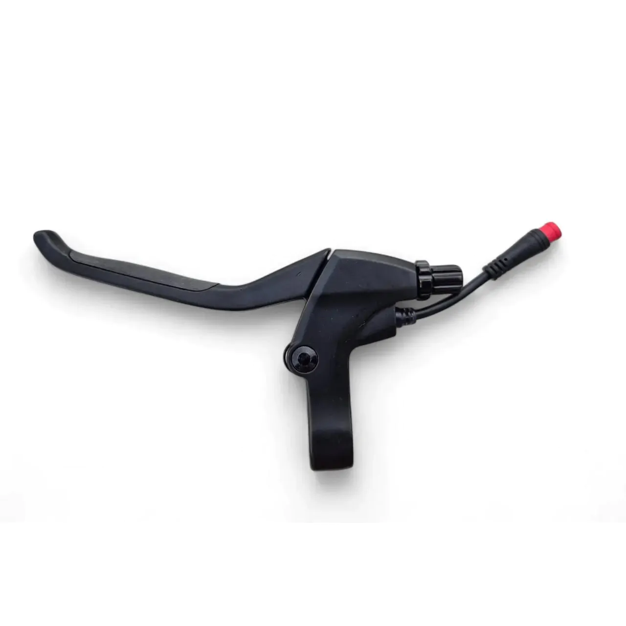 photo_2025-08-12_11-26-32 (2)-1