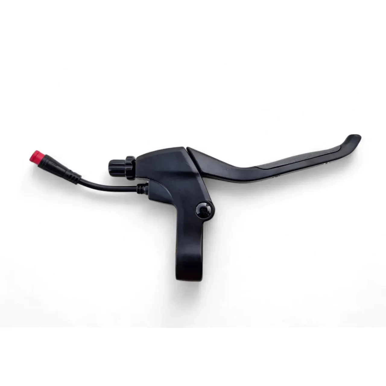 photo_2025-08-12_11-30-30-1