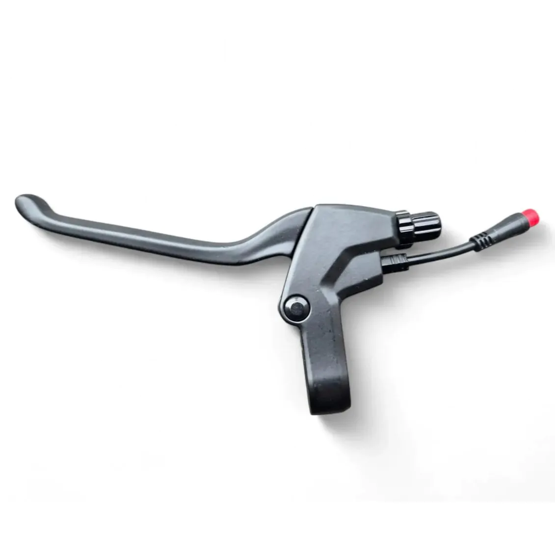 photo_2025-08-13_18-46-51-1