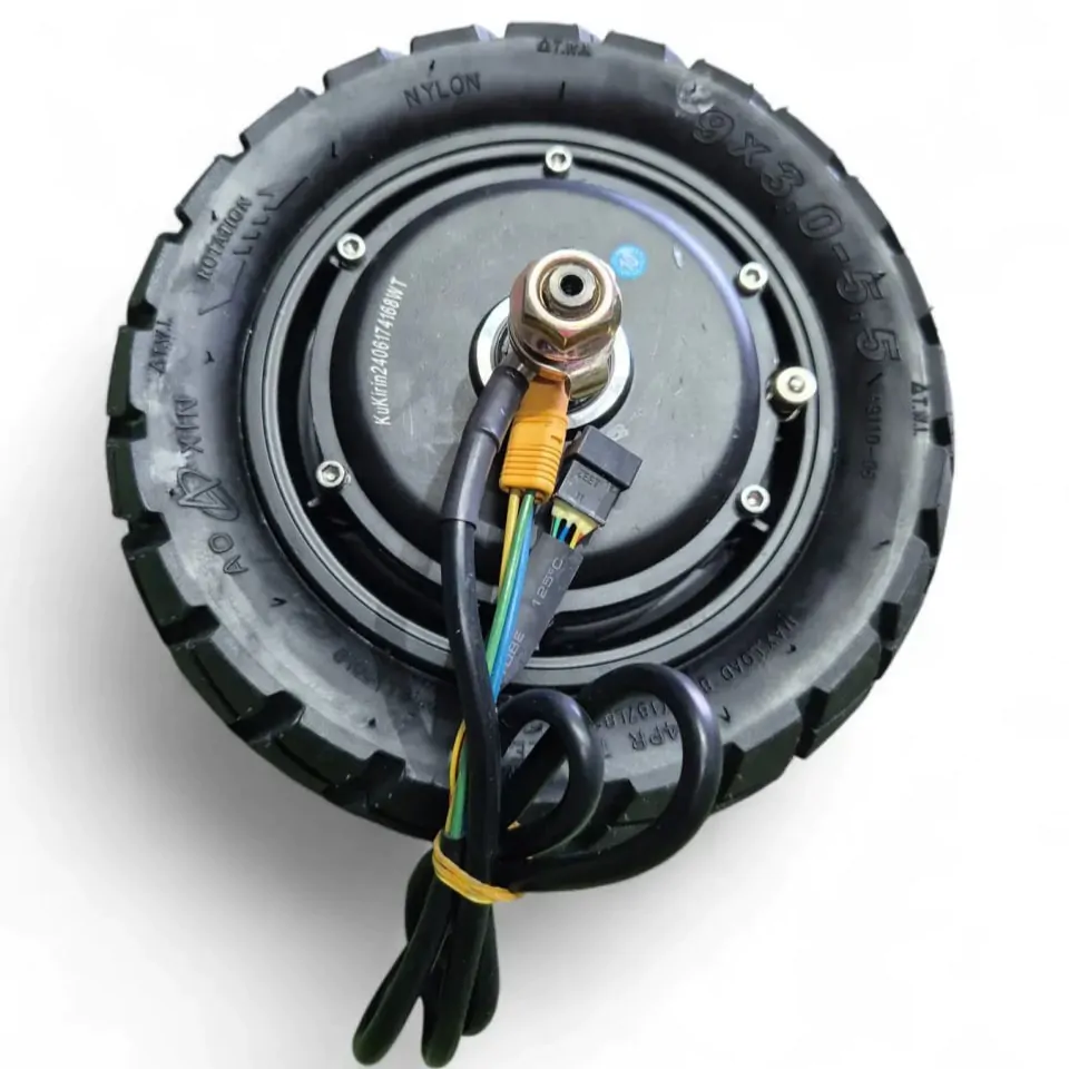 photo_2025-08-13_19-29-39